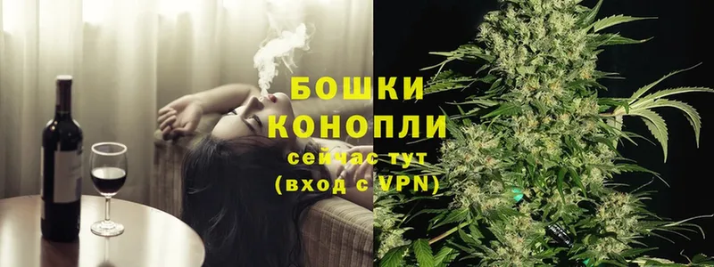 Конопля SATIVA & INDICA  Кремёнки 